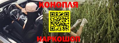 Альфа ПВП Будённовск